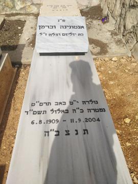תמונת מצבה