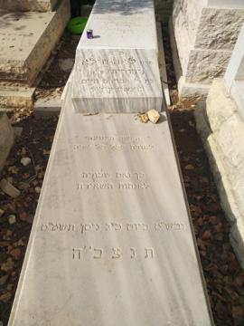 תמונת מצבה