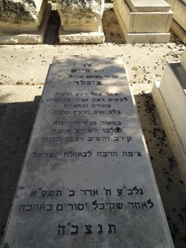 תמונת מצבה