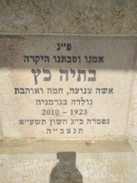 תמונת מצבה