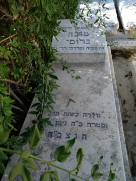 תמונת מצבה