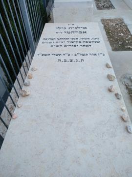 תמונת מצבה