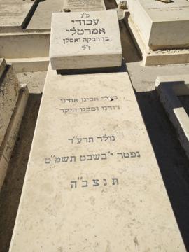 תמונת מצבה