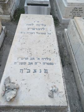 תמונת מצבה