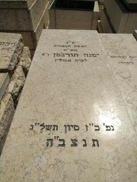 תמונת מצבה