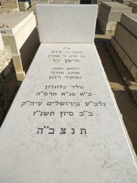 תמונת מצבה
