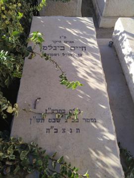 תמונת מצבה
