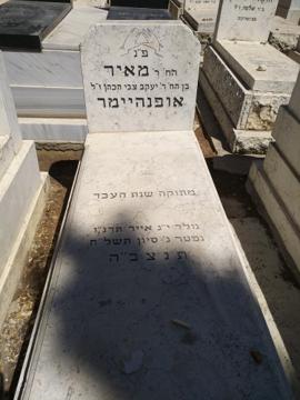 תמונת מצבה