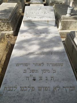 תמונת מצבה