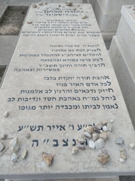 תמונת מצבה