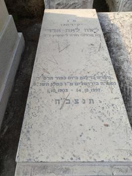 תמונת מצבה