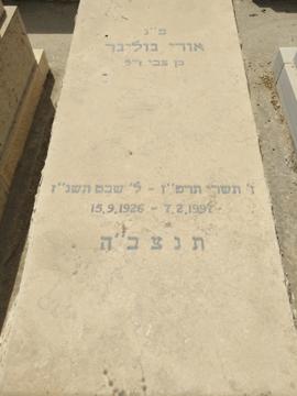 תמונת מצבה
