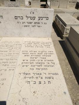 תמונת מצבה