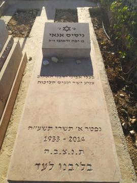 תמונת מצבה
