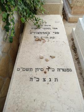 תמונת מצבה