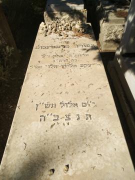 תמונת מצבה