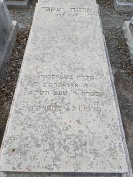 תמונת מצבה