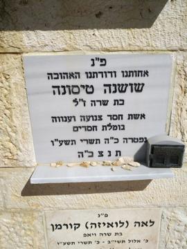 תמונת מצבה