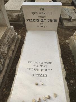 תמונת מצבה