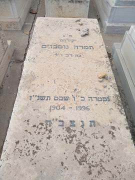 תמונת מצבה