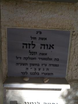תמונת מצבה