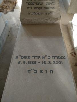 תמונת מצבה