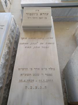 תמונת מצבה
