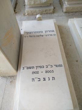 תמונת מצבה