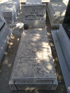 תמונת מצבה