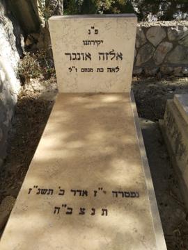 תמונת מצבה