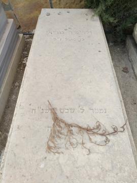 תמונת מצבה