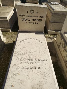 תמונת מצבה