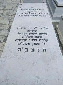 תמונת מצבה