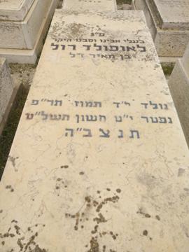 תמונת מצבה