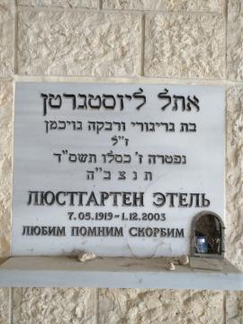 תמונת מצבה