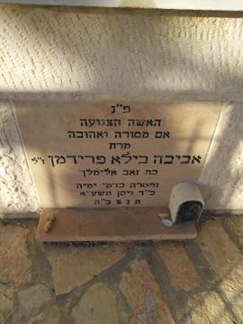 תמונת מצבה