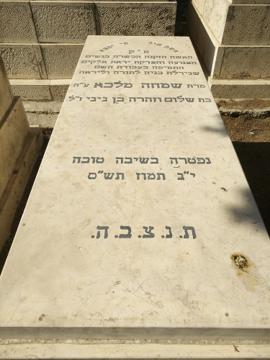 תמונת מצבה