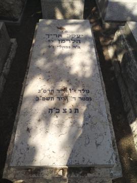 תמונת מצבה