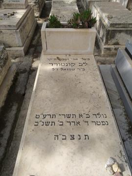 תמונת מצבה