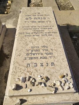 תמונת מצבה