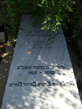 תמונת מצבה