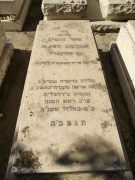תמונת מצבה