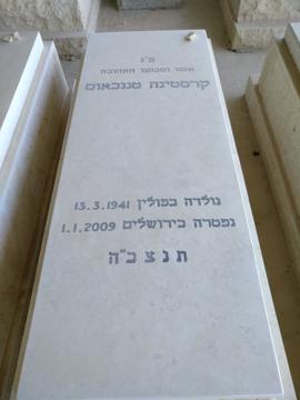 תמונת מצבה