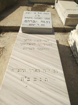 תמונת מצבה