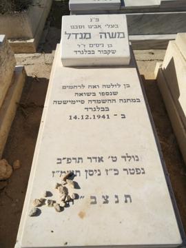 תמונת מצבה
