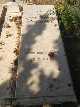 תמונת מצבה
