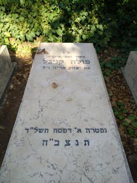 תמונת מצבה