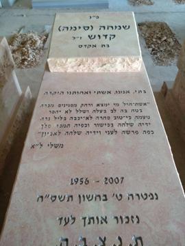 תמונת מצבה
