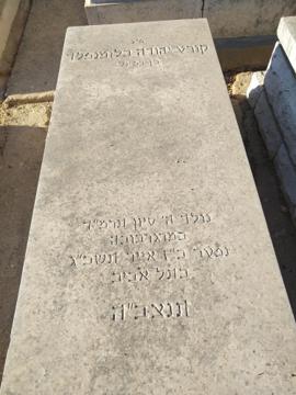 תמונת מצבה