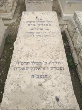 תמונת מצבה